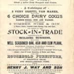 Arthur Mew Henry J. Way and Son Catalogue 1903