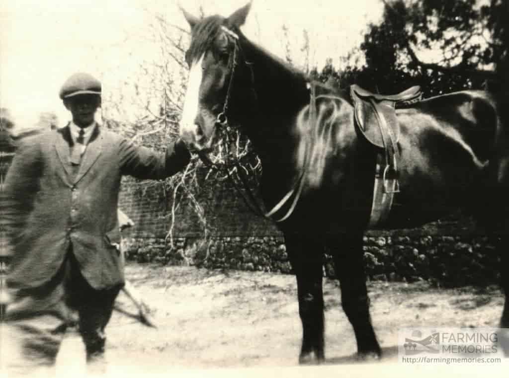 Bert Cooper (David's dad) with horse