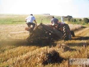 Geoffrey & Glen Draper with threshing machine