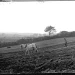 Glass negative of men using horse drawn plough