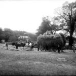 Glass negative of haymaking and a haywain at Shanklin Manor (before 1883 rebuild)