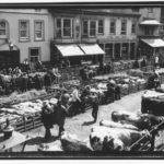 Black and white photograph of a market with livestock in progress in St James Square, Newport