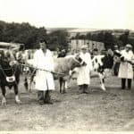 Peggy Jolliffe at the County Show