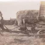 Grandad Lock haymaking