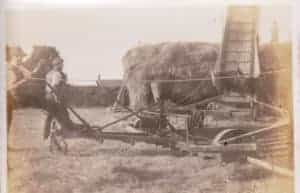 Grandad Lock haymaking