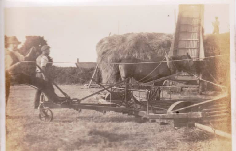 Grandad Lock haymaking