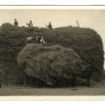 Hay rick at Park Green Farm