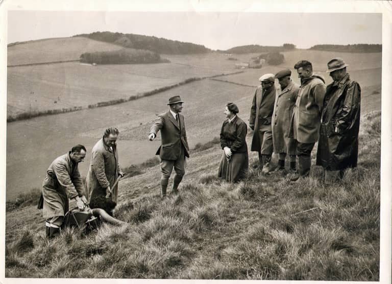 Rabbiting at Mottistone