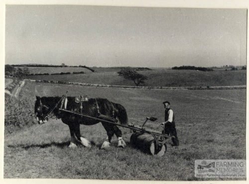 black and white photograph of a farmer rolling a field with a horse drawn roller. Photograph taken by Isle of Wight amateur photographer Fernao Pedro Mauricio Joao de Castel-Branco Manuel in 1946.