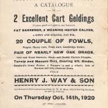 Arthur Mew Sale Catalogue 1920