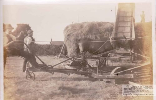 Grandad Lock haymaking