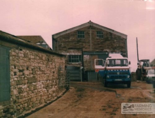 Milk lorry and parlour milking in farmyard