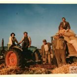 Geoff and gang (local men) on the trailer haymaking time.