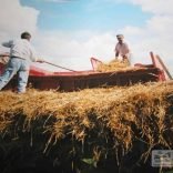 Geoff Phillips - Haymaking