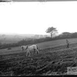 Glass negative of men using horse drawn plough