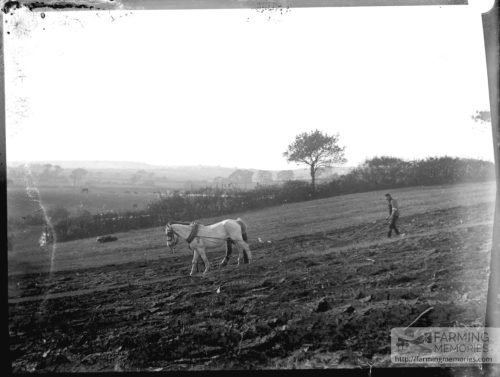 Glass negative of men using horse drawn plough