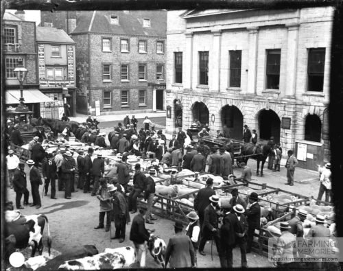 Glass negative of market at St. James Square, Newport