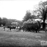 Glass negative of haymaking and a haywain at Shanklin Manor (before 1883 rebuild)