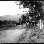 Glass negative of horses pulling wagons, loaded with willow