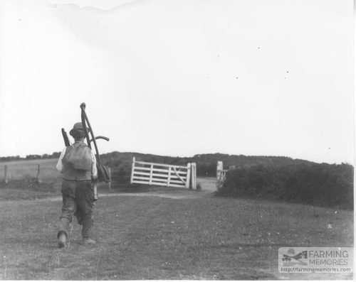 Black and white photograph showing a farm worker walking carrying his scythe and other tools