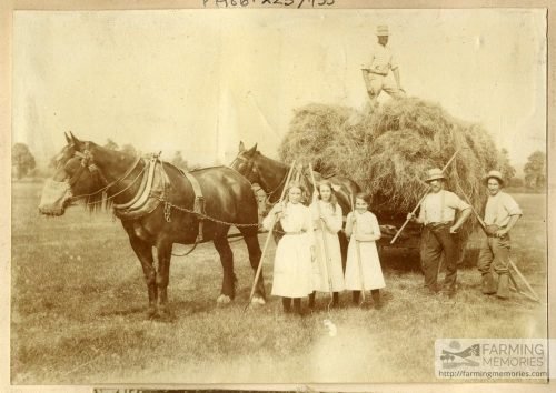 Sepia photograph showing a haymaking scene, with loaded wagon, two horses, three men, three girls and their implements