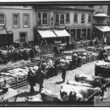 Black and white photograph of a market with livestock in progress in St James Square, Newport